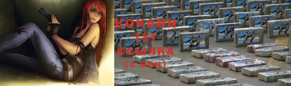 стаф Карпинск