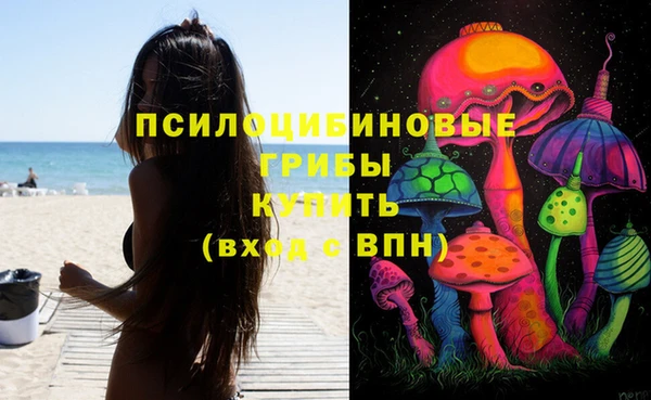 стаф Карпинск
