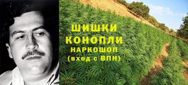 spice Карталы