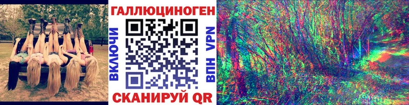 Купить  Липки  Галлюциногенные грибы Cubensis 